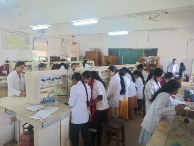 Picture41